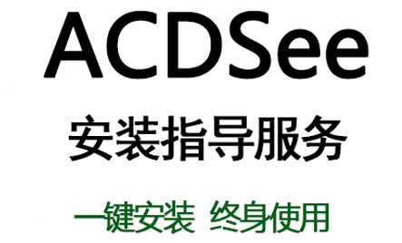 全自动矢量化过程