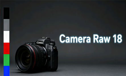 全自动矢量化过程