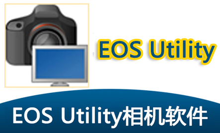 全自动矢量化过程