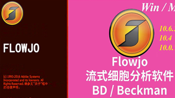 子像素级细节保留