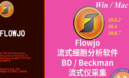 支持多种图形格式