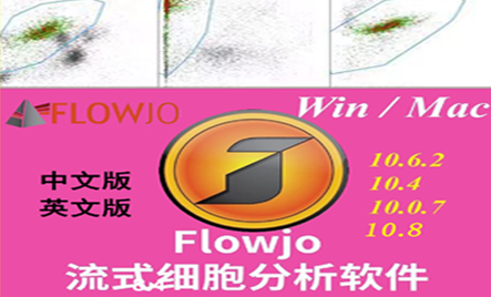 全自动矢量化过程