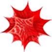 wolfram Mathematica软件 Logo